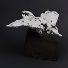 Load image into Gallery viewer, Motley Crew