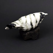 Load image into Gallery viewer, Motley Crew