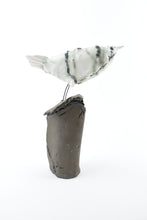 Load image into Gallery viewer, Motley Crew