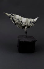 Load image into Gallery viewer, Motley Crew