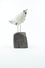 Load image into Gallery viewer, Motley Crew