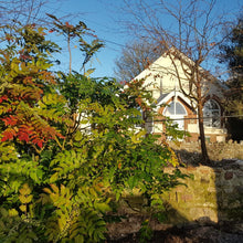 Load image into Gallery viewer, Six week Jewellery Course