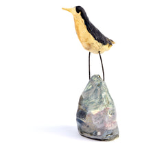 Load image into Gallery viewer, Bird