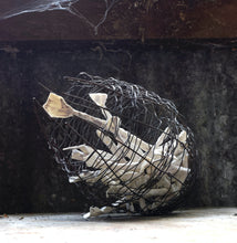 Load image into Gallery viewer, Mauve Fish Trap