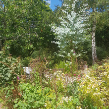 Load image into Gallery viewer, Silver Ring-in-a-Day Jewellery Course