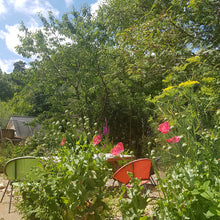 Load image into Gallery viewer, Needlefelting Textile Session