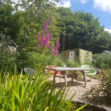 Load image into Gallery viewer, Taster Ceramic Session