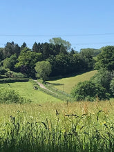 Load image into Gallery viewer, Rent-A-Bench or Studio