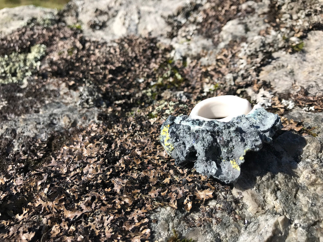 Lichen Ring