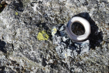 Load image into Gallery viewer, Lichen Ring
